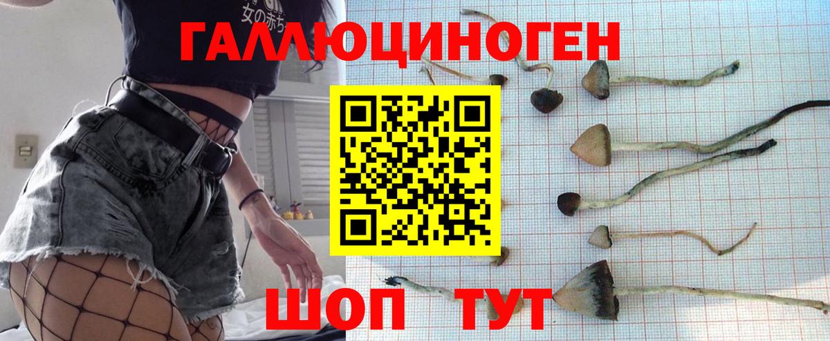 Осинники  Галлюциногенные грибы мухоморы  купить наркотики цена  Вход с VPN  Галлюциногенные грибы Cubensis 